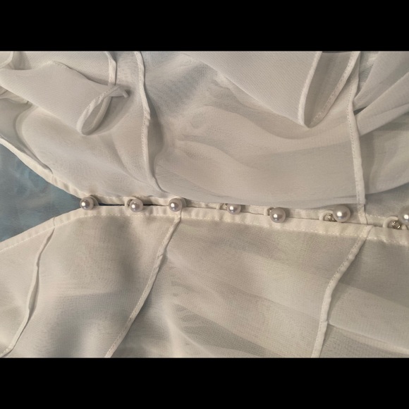 Sheer Blouse - Picture 4 of 5